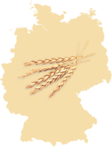 Dinkel aus Süddeutschland