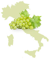 Essig aus Italien