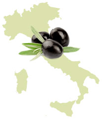 Olivenöl aus Italien